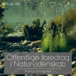 Havet - offentlige foredrag